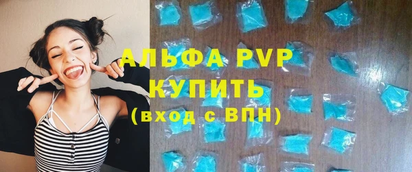 индика Белоозёрский