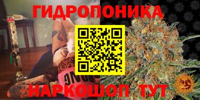 индика Абакан